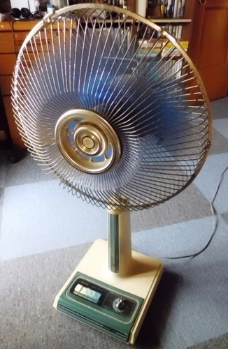 CIMG2899-thumbnail2.jpg