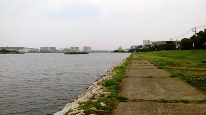 IMG_20150705_103428.jpg