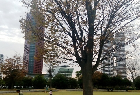 IMG_20151121_160330.jpg