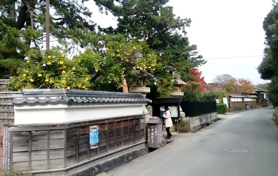 IMG_20151206_100448.jpg